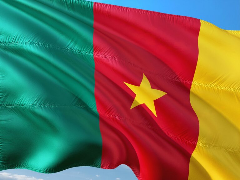 international, banner, flag, cameroon, cameroon, cameroon, cameroon, cameroon, cameroon
