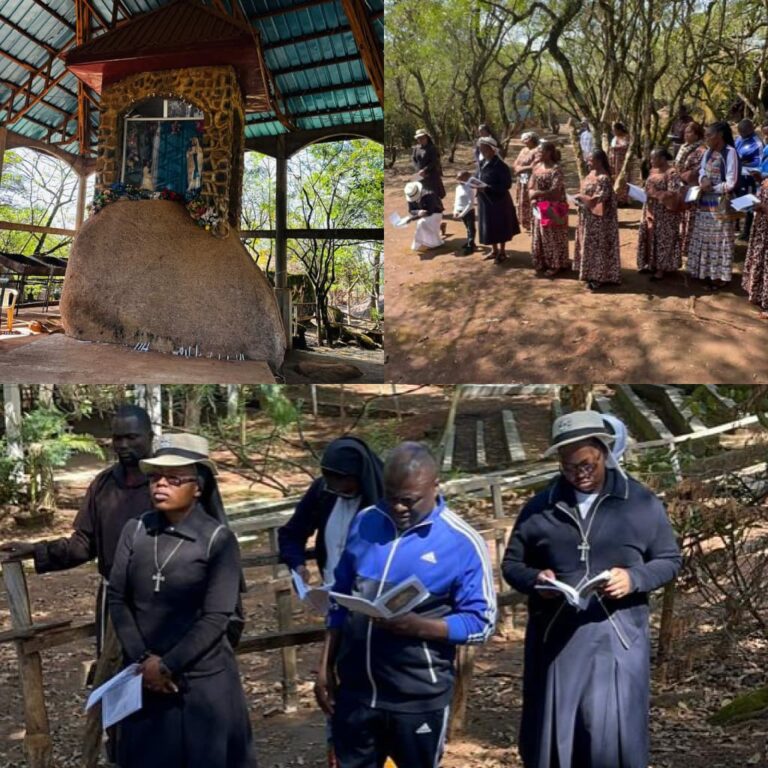 WhatsApp Image 2026-03-19 at 10.49